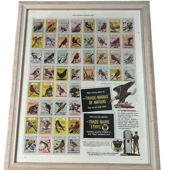 Vintage 1950? Saturday Evening Post Ethyl Gasoline Bird Stamp Advertisement - Picture 1 of 14